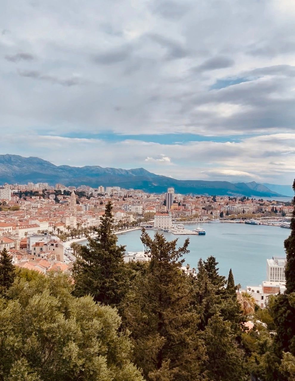 Scenic view of city and harbor