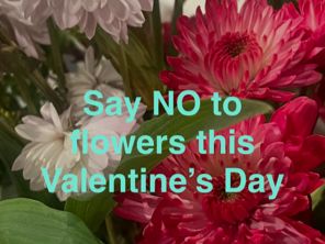 Flowers with anti-Valentine's Day message