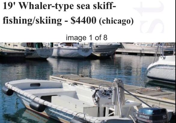 19-foot sea skiff boat