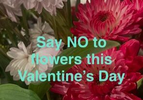 Flowers with anti-Valentine's Day message