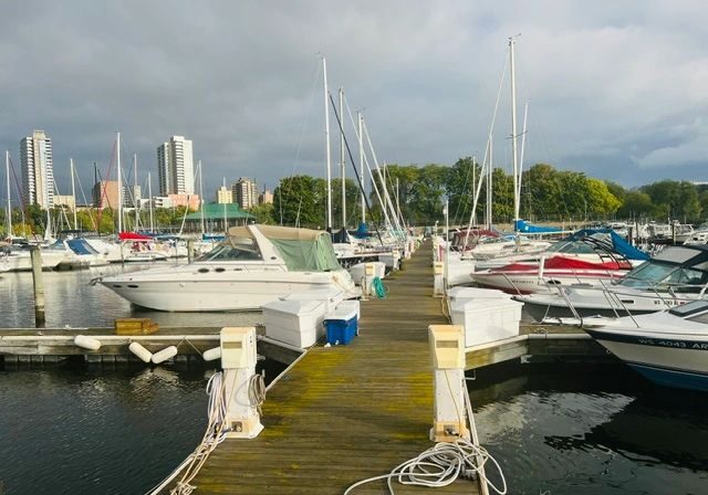 Marina with city skyline background