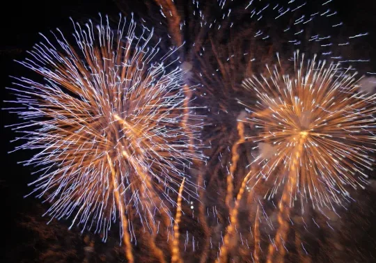 Colorful fireworks bursting against the night sky